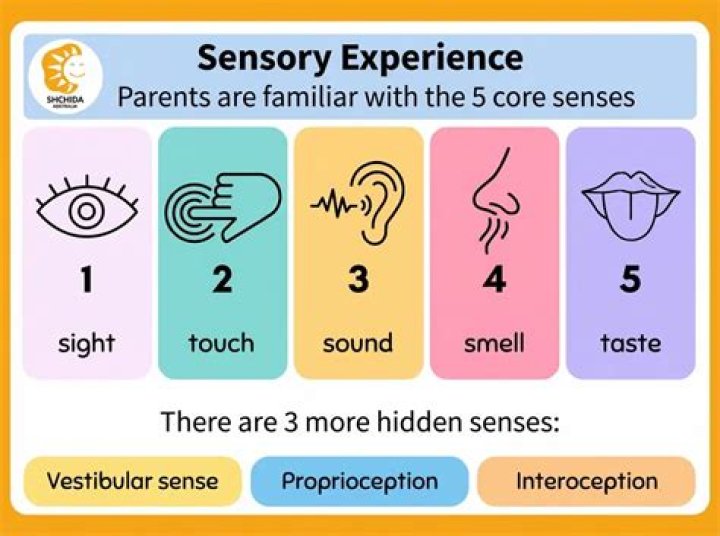 A Sensory Experience Worth Exploring