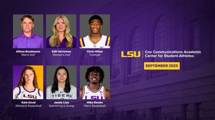 Discoveries From "LSU Women's Basketball Coach Married"