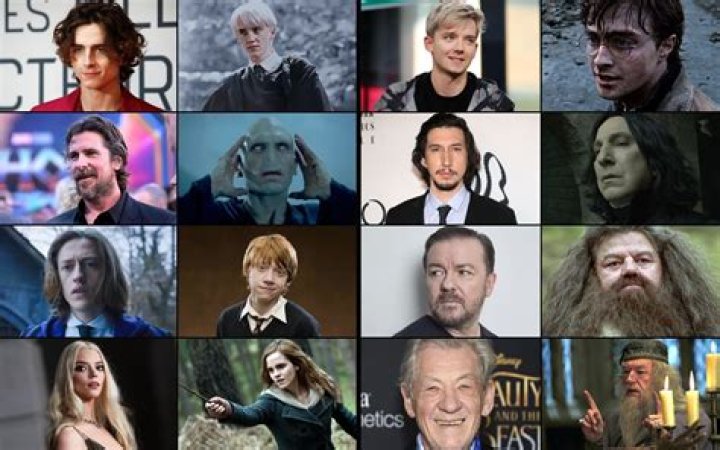 Harry Potter Actors Who Left An Eternal Mark