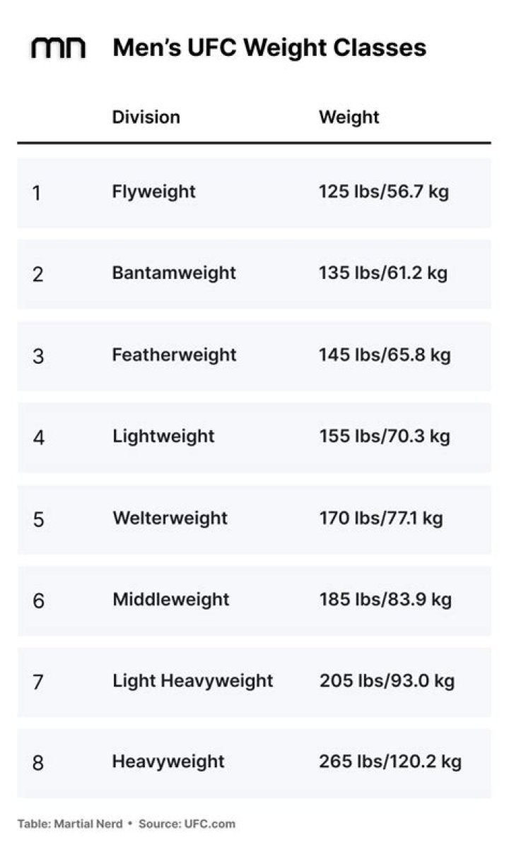 Insights And Discoveries In UFC's Flyweight Division