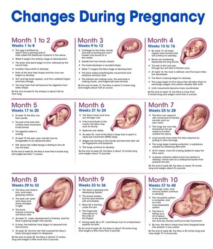 Katie Pavlich's Pregnancy Journey Explored