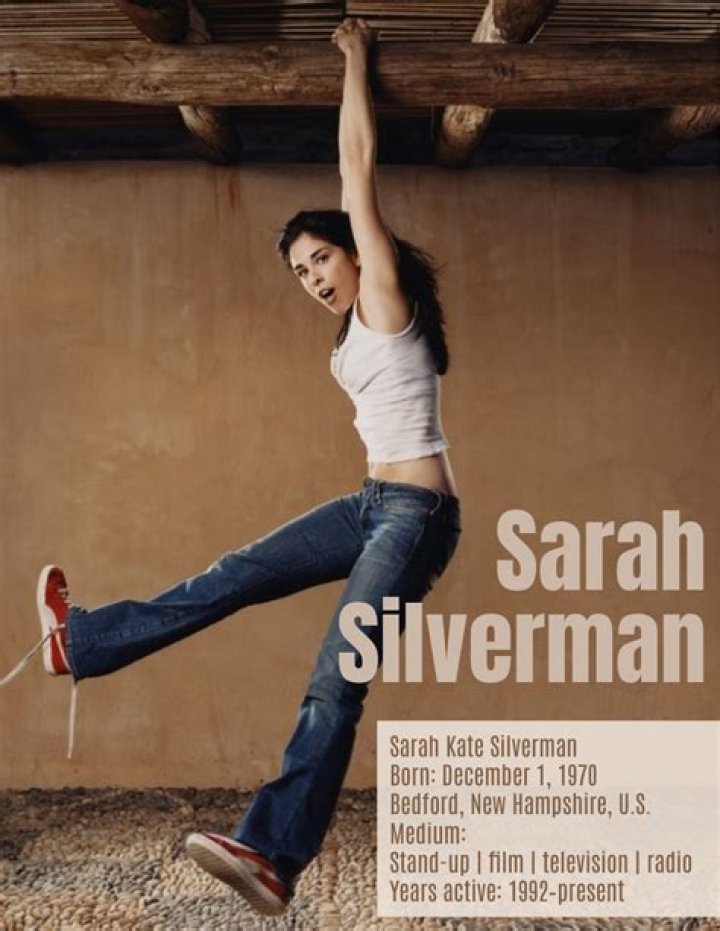 The Impact Of The "Sara Silverman Bikini" Photos