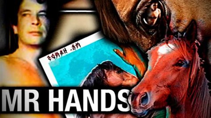 The Notorious "Michael Hanley Horse Video Mr Hands Original": A Harrowing Tale