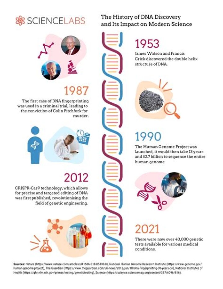 Unveiling "Kat Timpf Inheritance": Discoveries And Insights