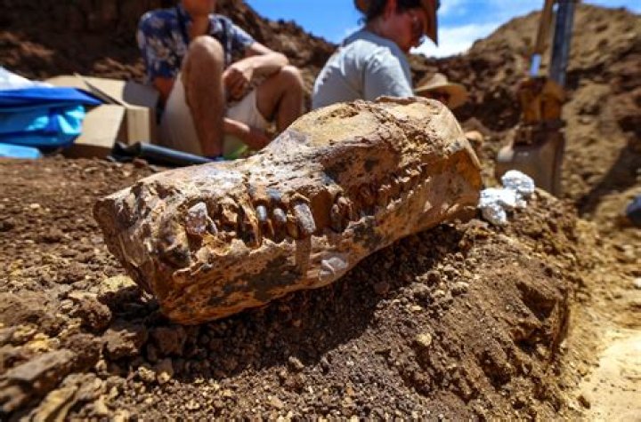 Unveiling The Multifaceted World Of "Jordan From The Real World": Discoveries And Insights