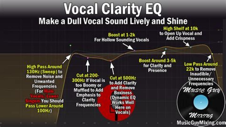 Vocals, Stage Presence, And More