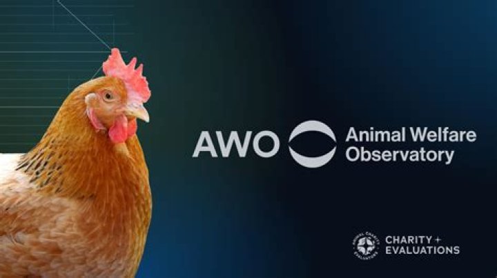 Your Source For Animal Welfare